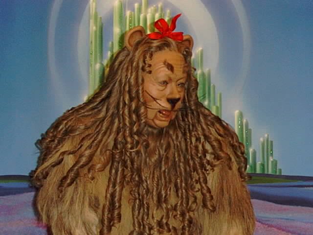 Image result for WIZARD OF OZ COWARDLY LION GIFS